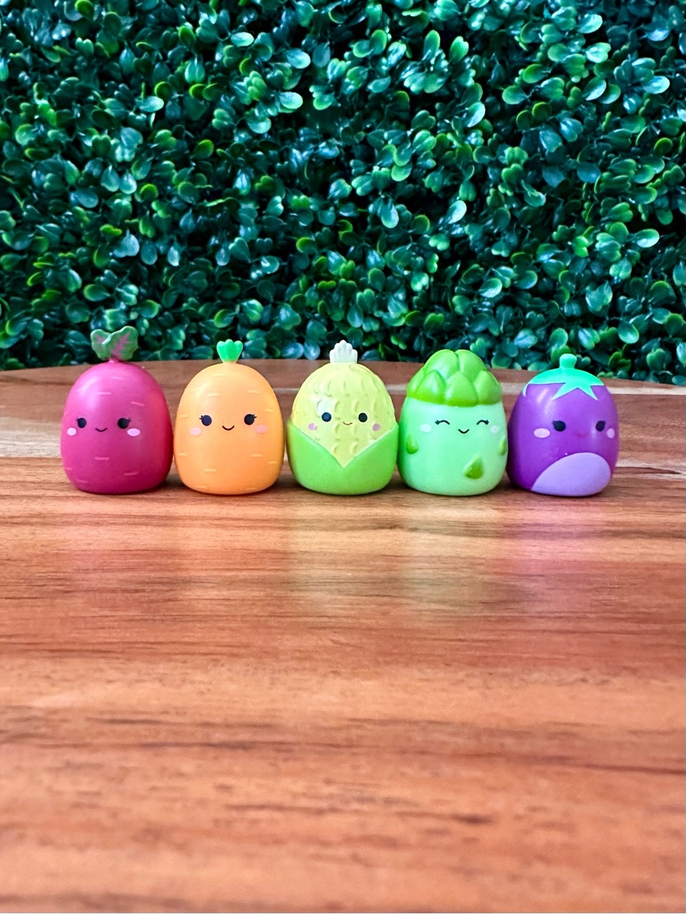 Squish-a-longs Veggie Bundle